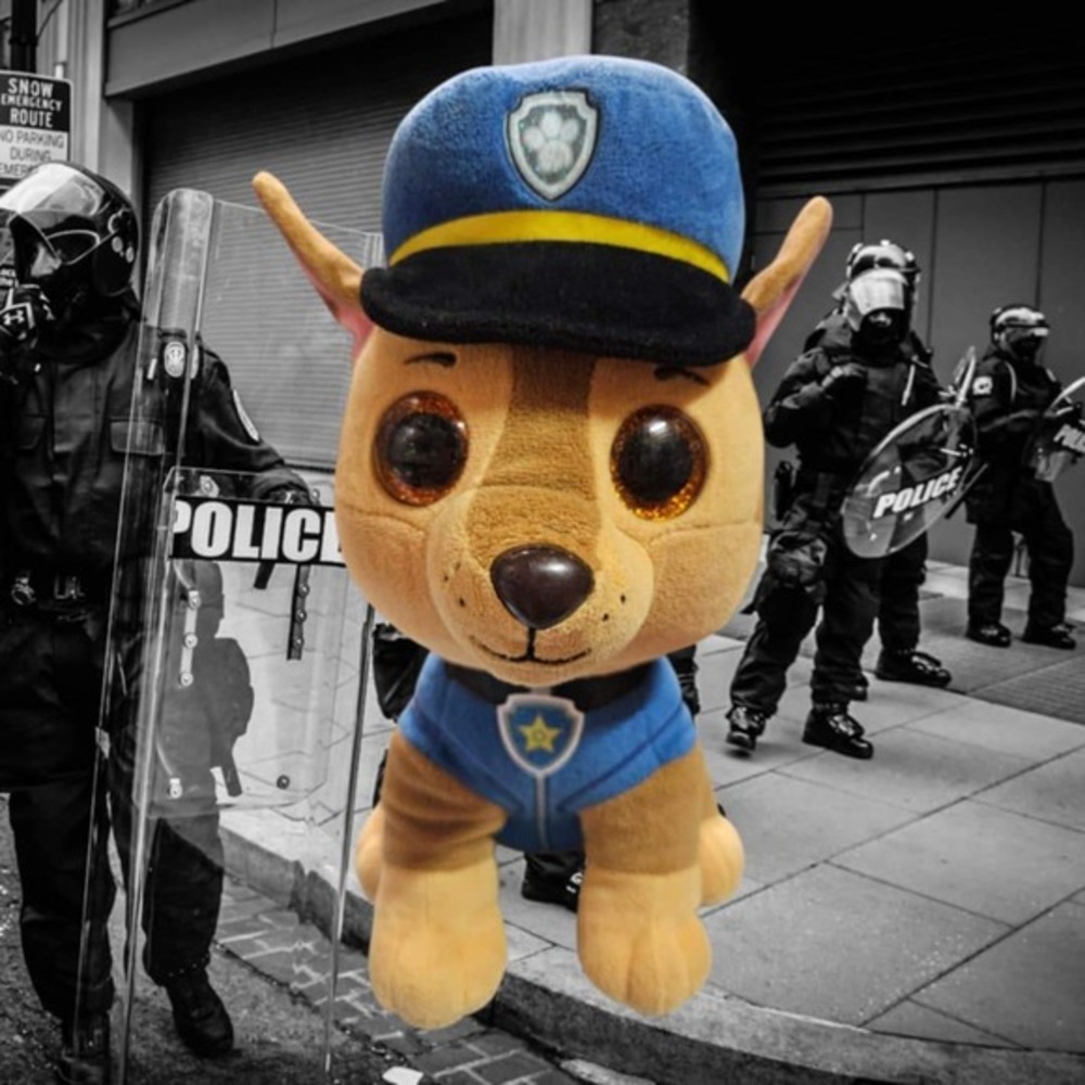 Chase The Paw Patrol Stuffed Animal (5339)‎